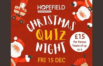 Christmas Quiz Night