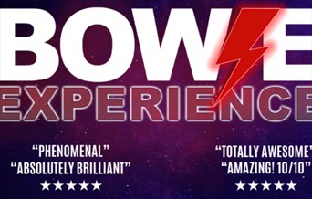 Bowie Experience