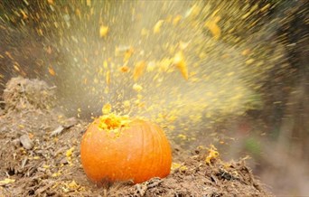 Hallowe'en Pumpkin Shooting