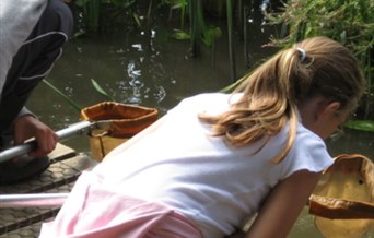 Pond Dipping