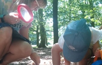 Hanningfield Safari