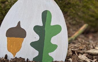 Easter Egg Trail
