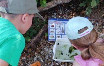 Wilder Holiday Club 5+