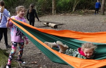 Family Forest Fun