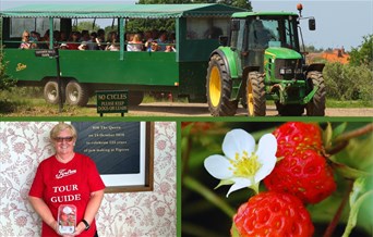 Public Farm Tours at The Tiptree Tea Room