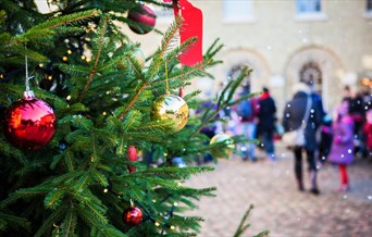 Festive Fun at Audley End House and Gardens