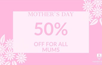 Mother's Day at Upside Down House