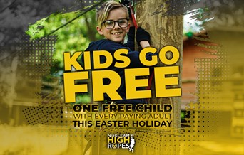Easter High Ropes