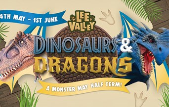 Dinosaurs & Dragons