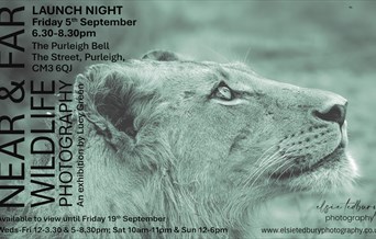 Near & Far: An Exhibition of Wildlife Photography