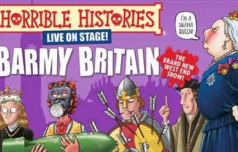 Horrible Histories: Barmy Britain