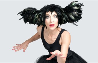 An Evening Without Kate Bush