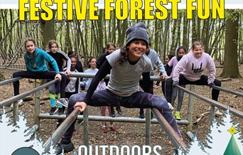 Festival Forest Fun