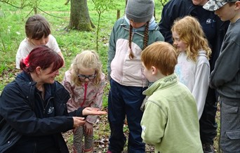Abbotts Hall Family Forest Fun