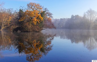 Weald Country Park