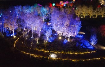 RHS Glow