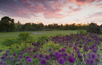 Clover Hill at RHS Garden Hyde Hall.