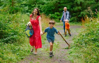 The Great Woodland Adventure