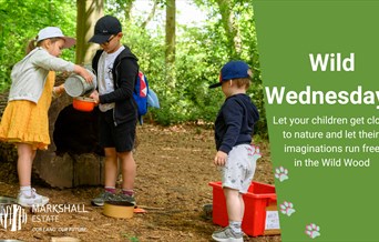 Poster showing children playing in the woods