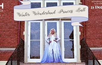 Winter Princess Ball
