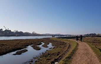 Wivenhoe trail