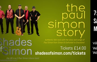 Concert : The Paul Simon Story