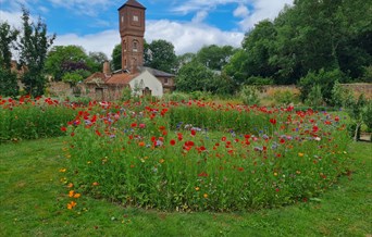 Nature Day at Easton Lodge