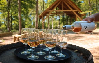 Tours & Tastings.
