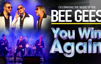 You Win Again: The Story of the Bee Gees