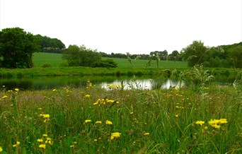 cherry orchard jubilee country park