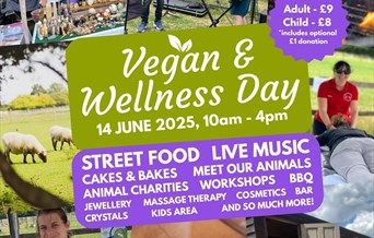 Vegan and Wellness Day