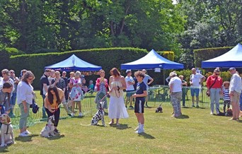 October Open Day and Dog Show
