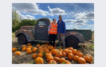 The Pumpkin Patch PYO