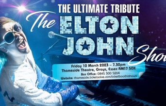 The Elton John Show