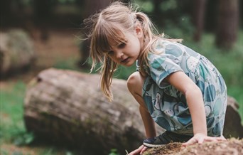 Nature Explorer Family Trail