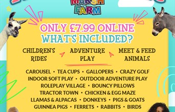 THE FEB HALF-TERM FAMILY FROLIC