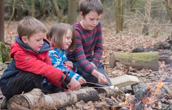 Survival Day - Children's Activities