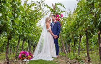 Summertime wedding in the vines