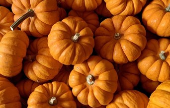 Pumpkins