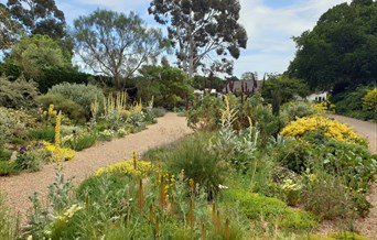 Beth Chatto Gardens