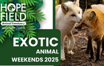 Exotic Animal Weekend