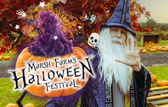 Marsh Farm Halloween Festival