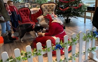 Mrs Claus is...Santa Paws