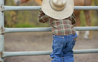 Hopefield Hoedown