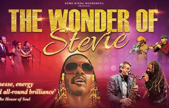 The Wonder Of Stevie