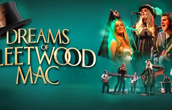 Dreams of Fleetwood Mac