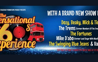 The Sensational 60's Experience