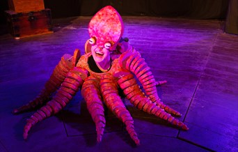 A human wearing an octopus costume