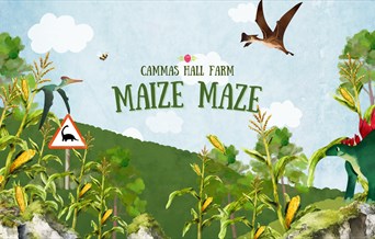 Maize Maze