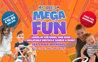Mega Fun Weekend